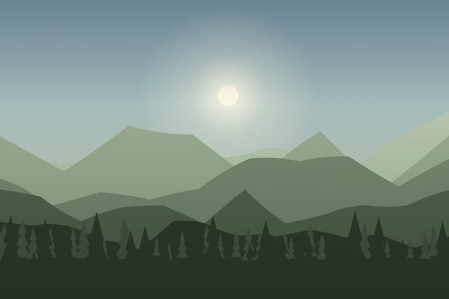 Stylised landscape for Tracks and signs: reading the forest with a biologist