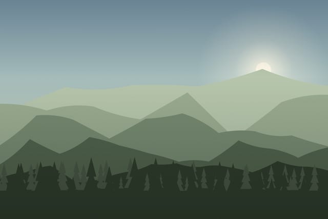 Stylised landscape for E-bike day on the forest trails
