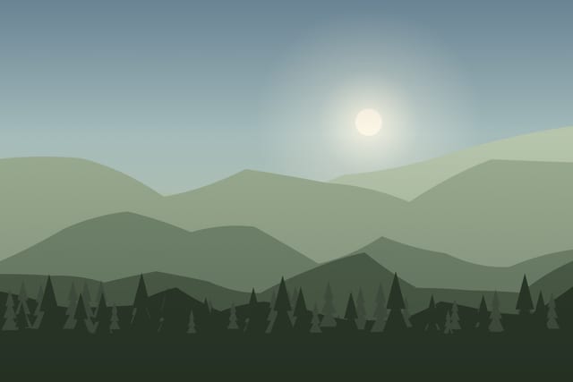 Stylised landscape for Guided ATV ride on forest tracks