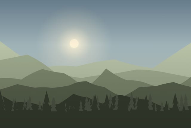 Stylised landscape for Guided ATV ride on forest tracks