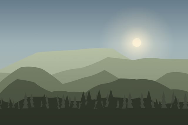 Stylised landscape for Tracks and signs: reading the forest with a biologist