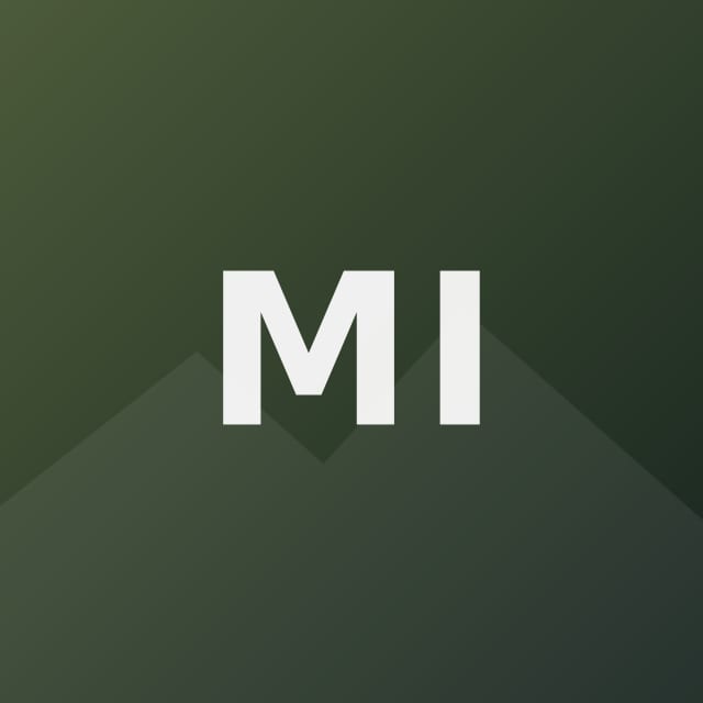 Monogram placeholder in place of a photograph of Mara Ilie