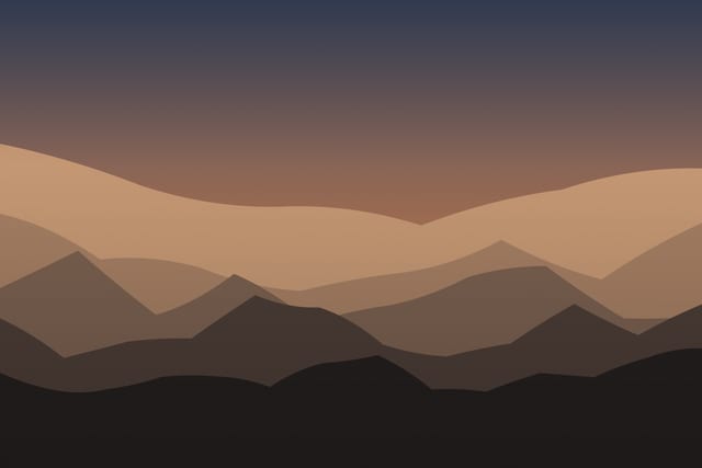 Stylised landscape for Tracks and signs: reading the forest with a biologist