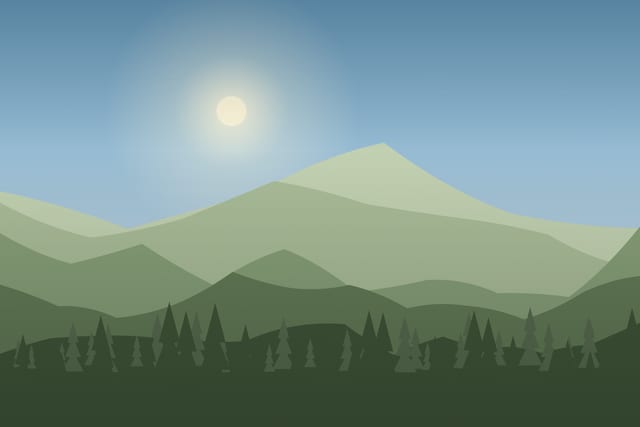 Stylised landscape for Tracks and signs: reading the forest with a biologist